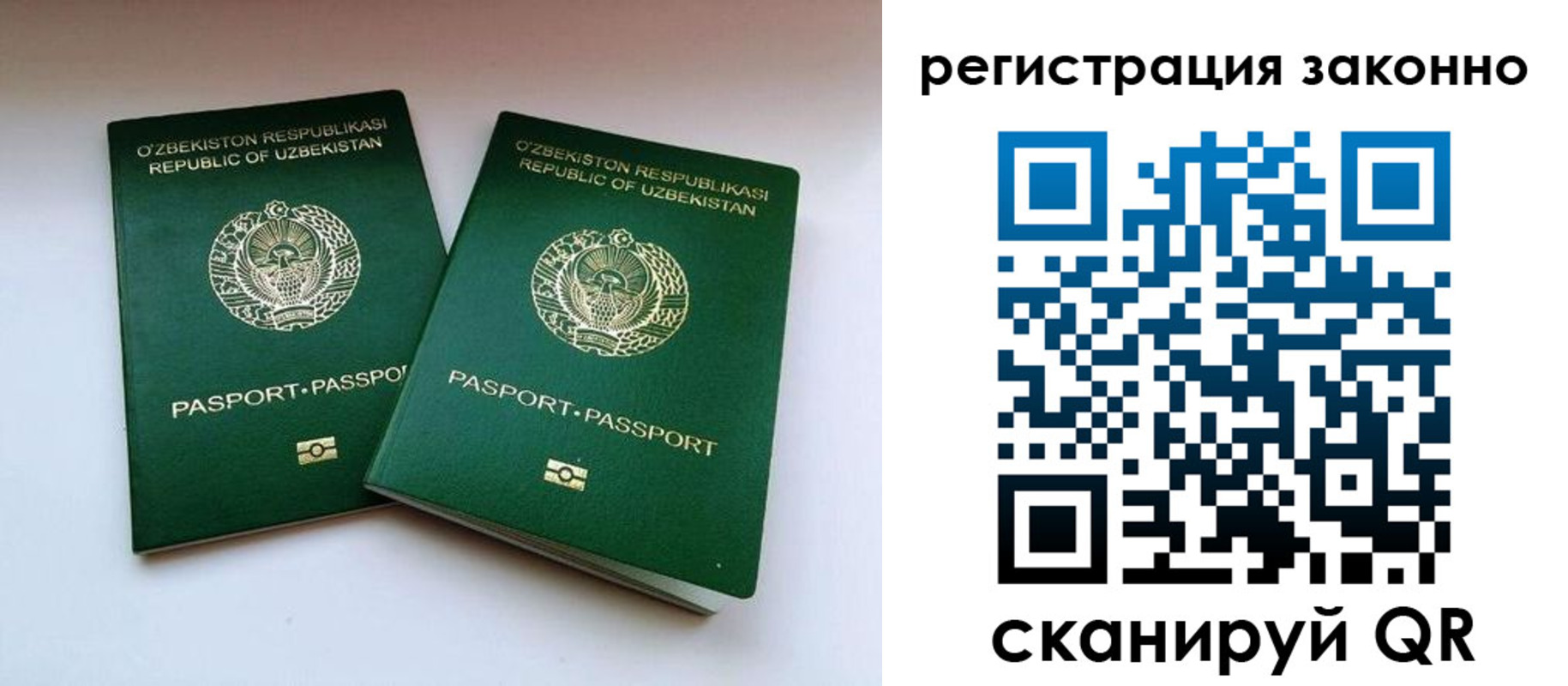 прописка гарантия в Владимире